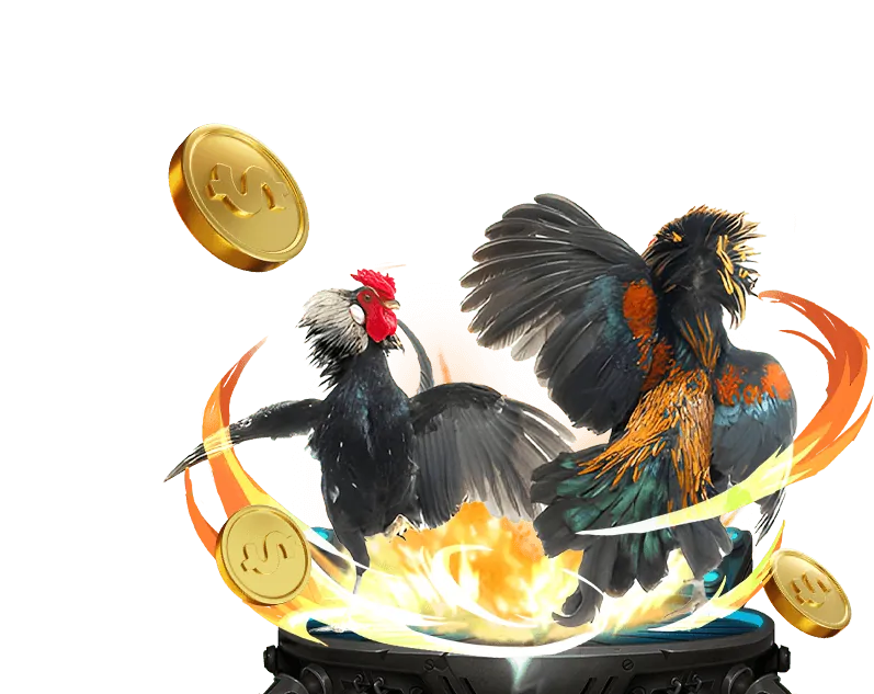 Khuyến mãi đá gà hấp dẫn